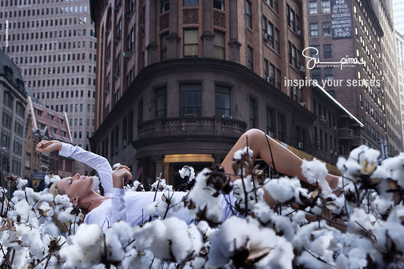 Supima Cotton – “Sea of Cotton NYC” campaign